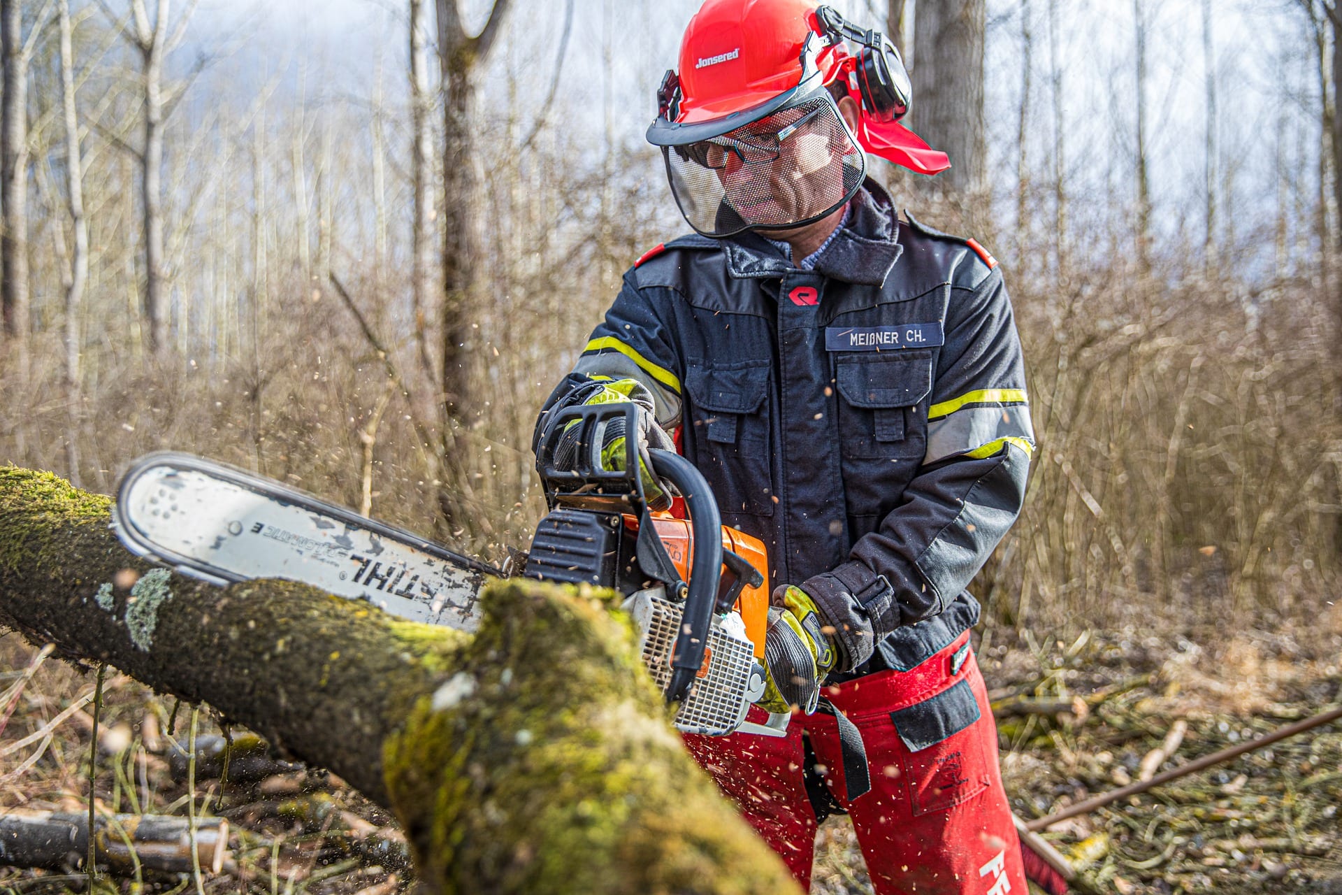 fire-5211402_1920 tree removal